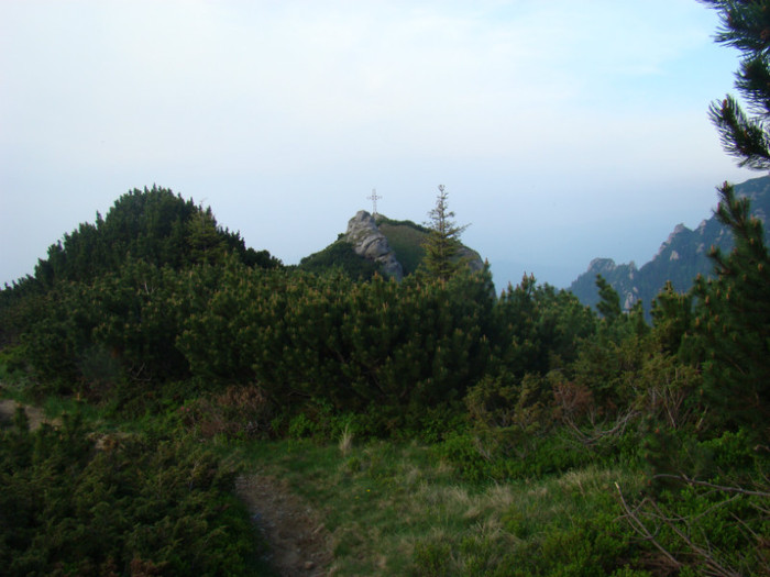 DSC09319 - Bran - Bucegi