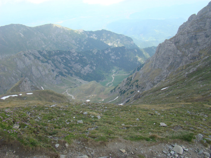 DSC09361 - Bran - Bucegi