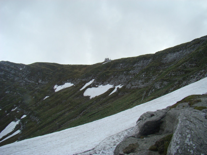 DSC09366 - Bran - Bucegi