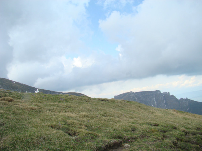 DSC09372 - Bran - Bucegi