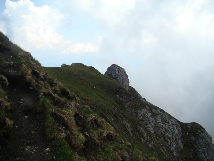 DSC09375 - Bran - Bucegi