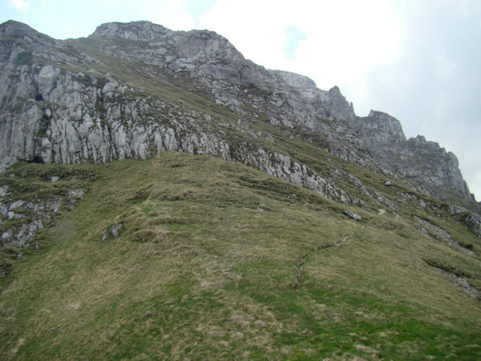 DSC09401 - Bran - Bucegi