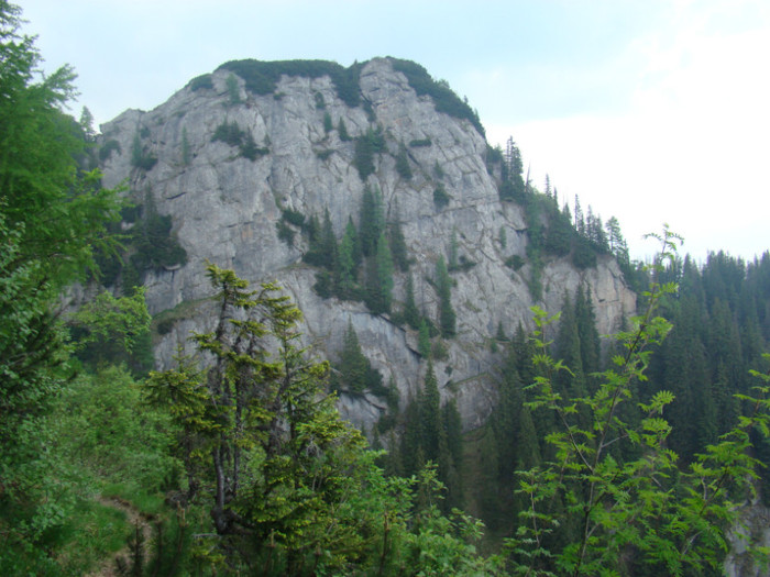 DSC09406