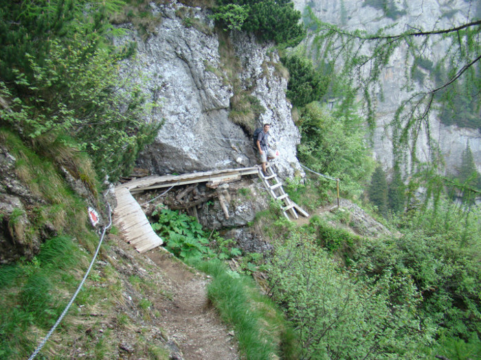 DSC09410 - Bran - Bucegi