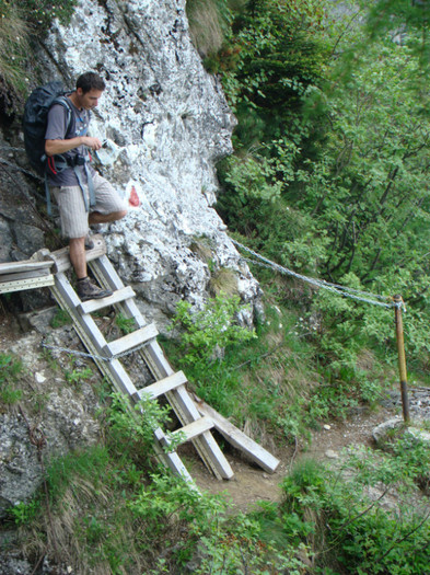 DSC09411 - Bran - Bucegi