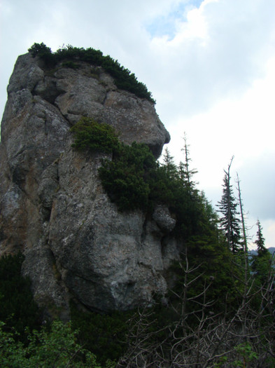 DSC09418 - Bran - Bucegi