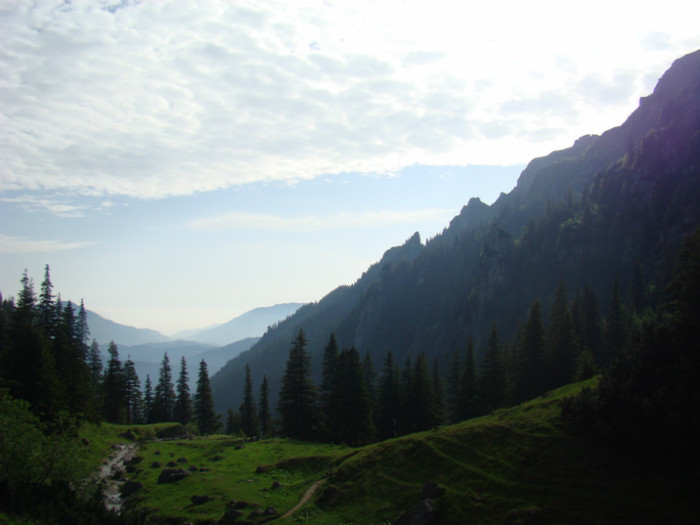 DSC09420 - Bran - Bucegi