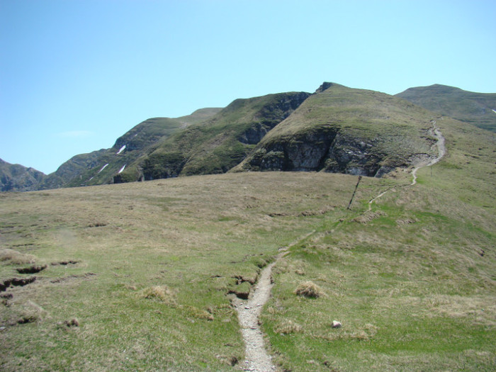 DSC09438