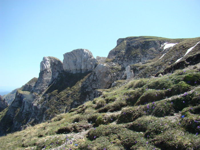 DSC09467