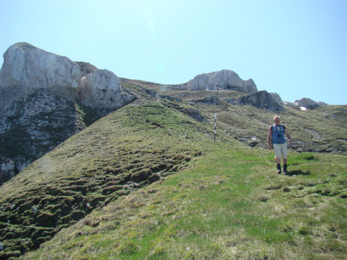 DSC09471 - Bran - Bucegi