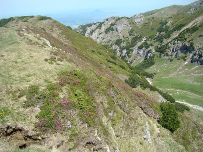 DSC09472