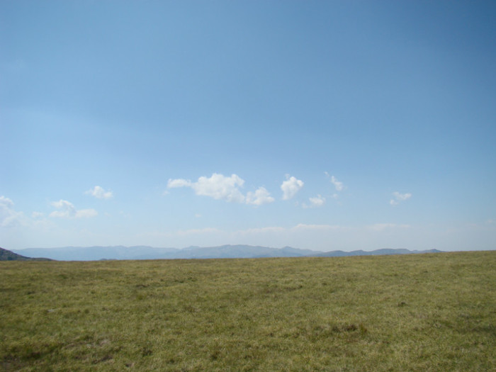 DSC09560