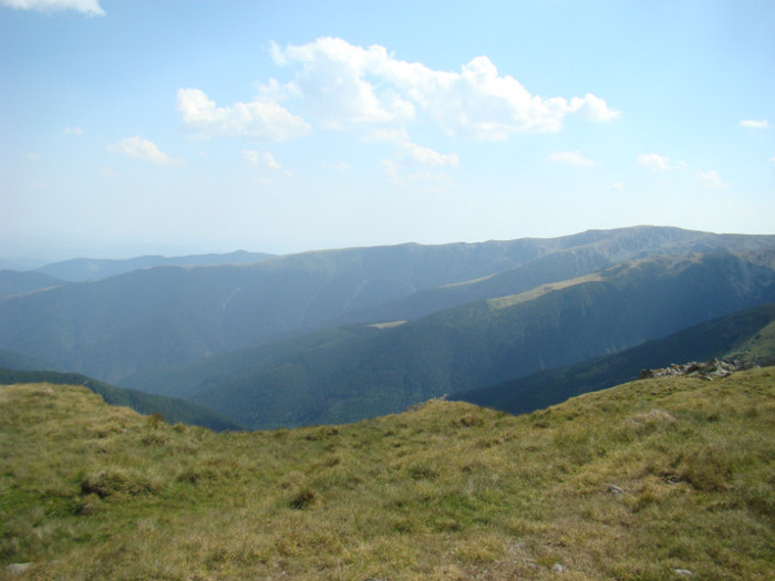 DSC09562