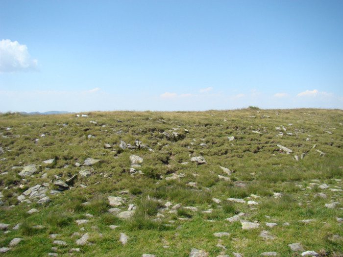 DSC09564