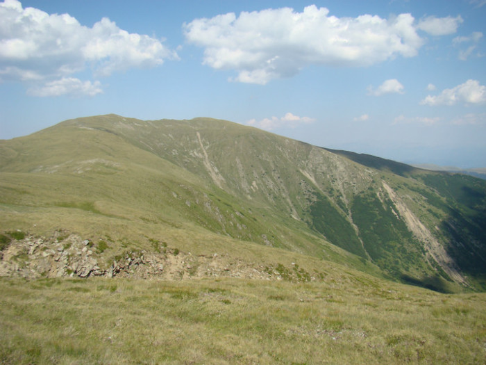 DSC09565