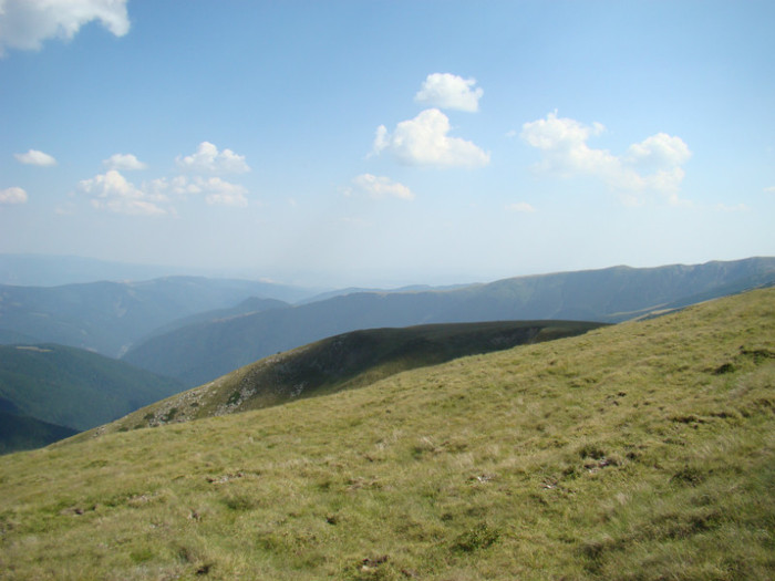 DSC09566