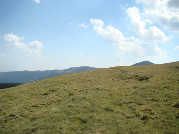 DSC09567