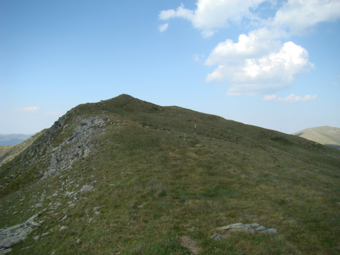 DSC09569