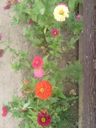 P090710_13.36_[03]