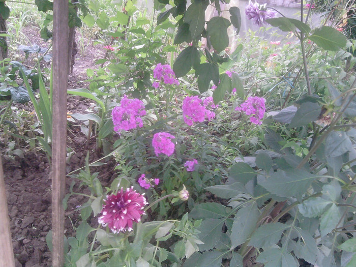 P090710_13.36_[07]