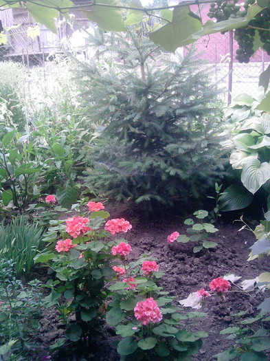 P090710_13.44_[03]