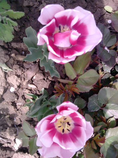 P210412_13.33_[03]