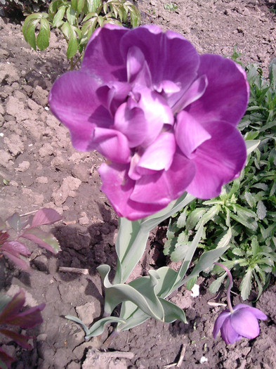 P210412_13.33_[04]