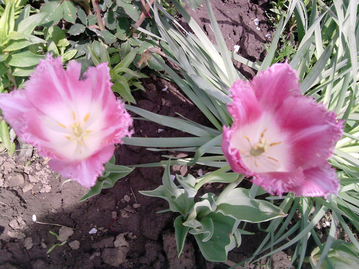 P210412_13.33_[07]
