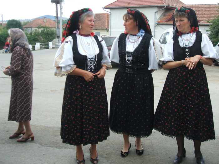 DSCF0363 - Port popular din Palos