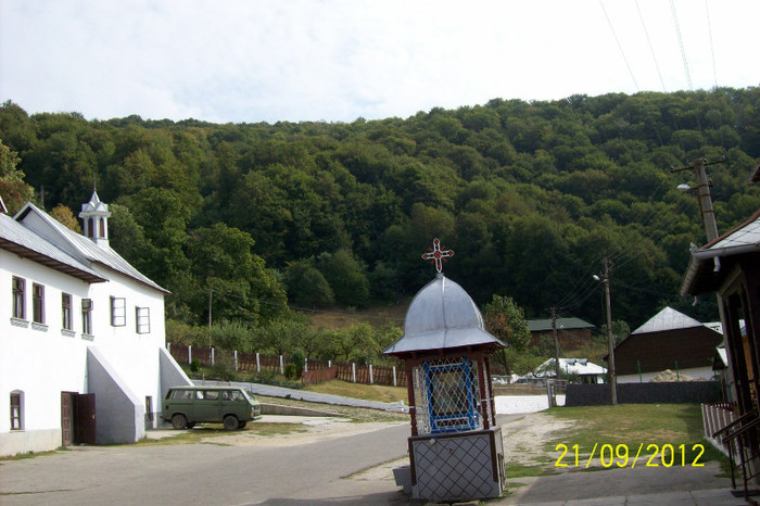 100_9333