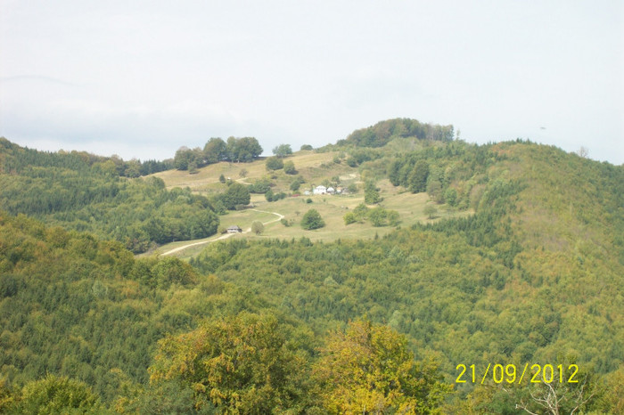 100_9335