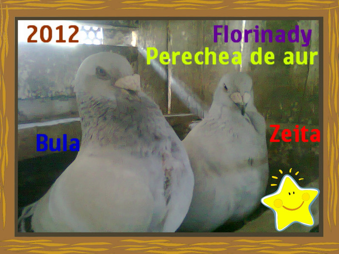 fotografie0761_002