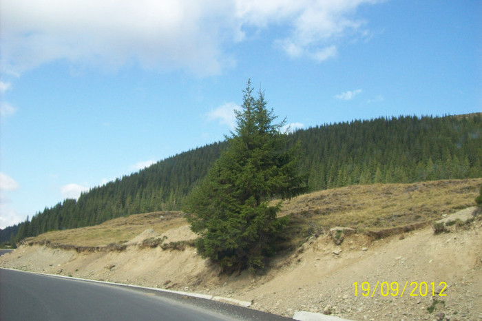 100_8999 - PE TRANSALPINA