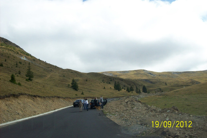 100_9002 - PE TRANSALPINA