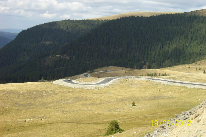 100_9011 - PE TRANSALPINA