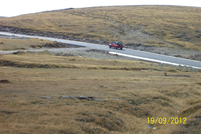 100_9048 - PE TRANSALPINA