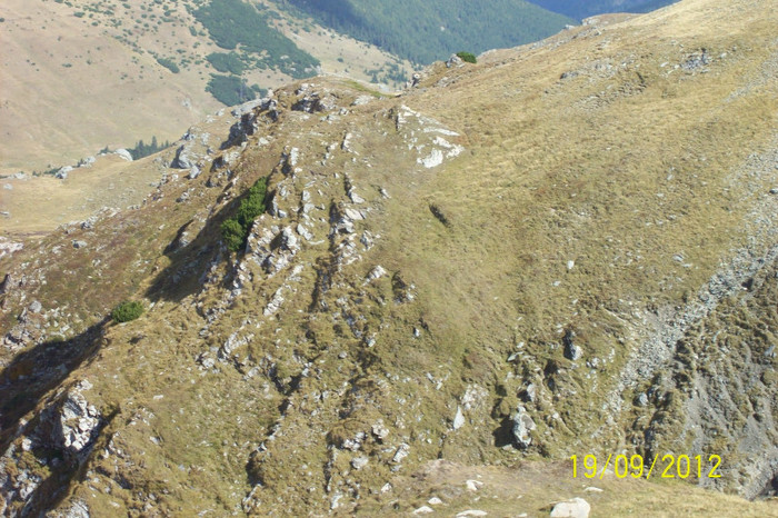 100_9058 - PE TRANSALPINA