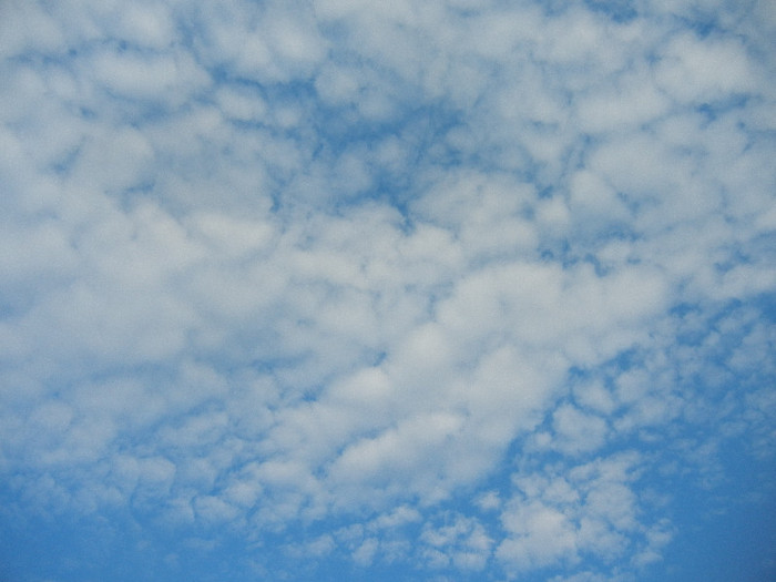 Clouds. Nori (2012, September 20) - CLOUDS_Nori