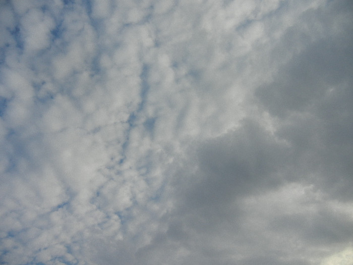 Clouds. Nori (2012, September 20)