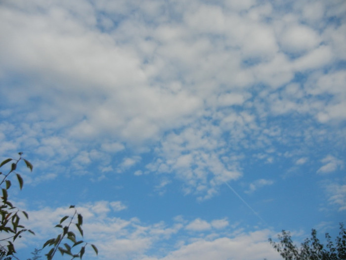 Clouds. Nori (2012, September 20)