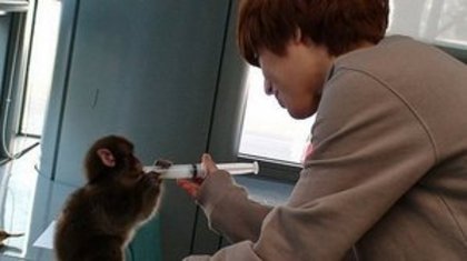 :X:x:X - l -   l  TaeMin