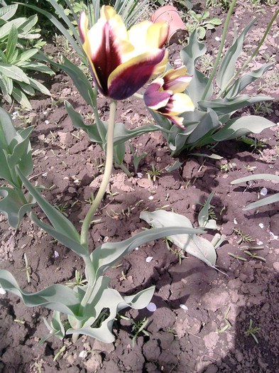P210412_13.35_[05]