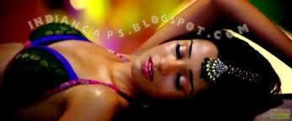 251841_10151016813856830_1980294911_n