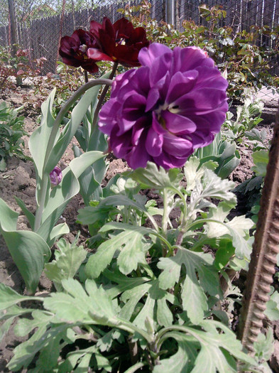 P210412_13.39_[05]