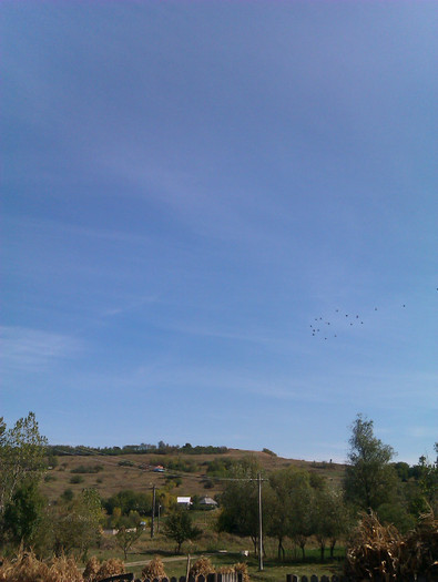 IMAG0546 - 0__ voiajori 2