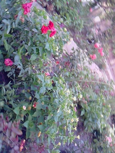 P270610_19.16_[02]