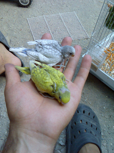 Imag028; prima generatie
