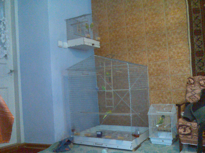 Vioraki011; made by me :)
