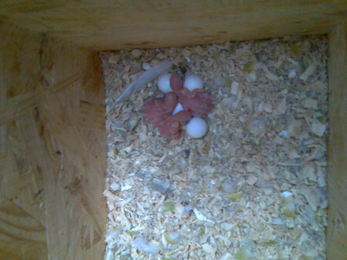 Imag019; asteptam fratiorii :)
