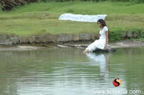 526182_287075031383556_1480117622_n